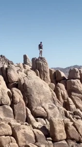 Joshua tree has become cooler and cooler since i ve been there did you