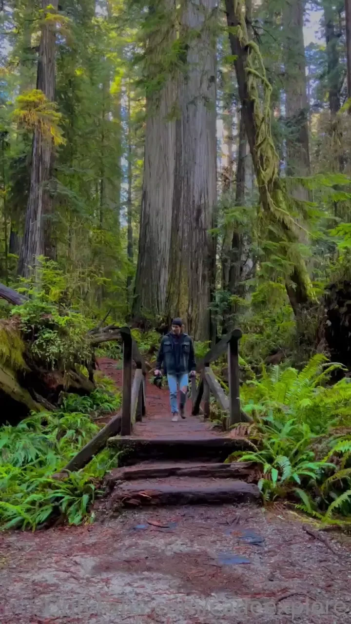 Took a little detour on the way home from moab to see some insane 