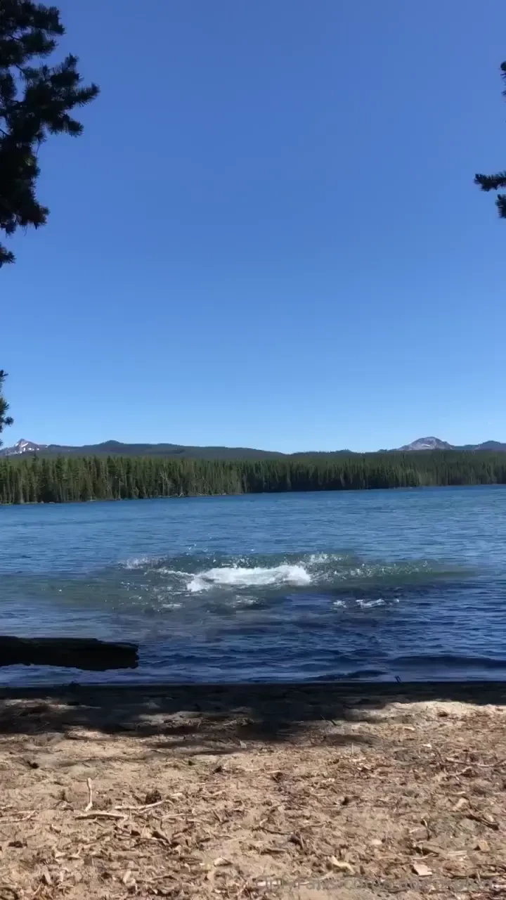 How i ll be spending my labor day weekend how are you spending yours 