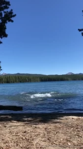 How i ll be spending my labor day weekend how are you spending yours