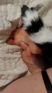 New tail new toys i have couple of videos for you for this weekend