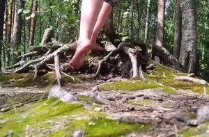 I found this amazing tree with the funniest roots i had to try them