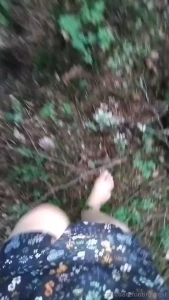 Some forestwalks again