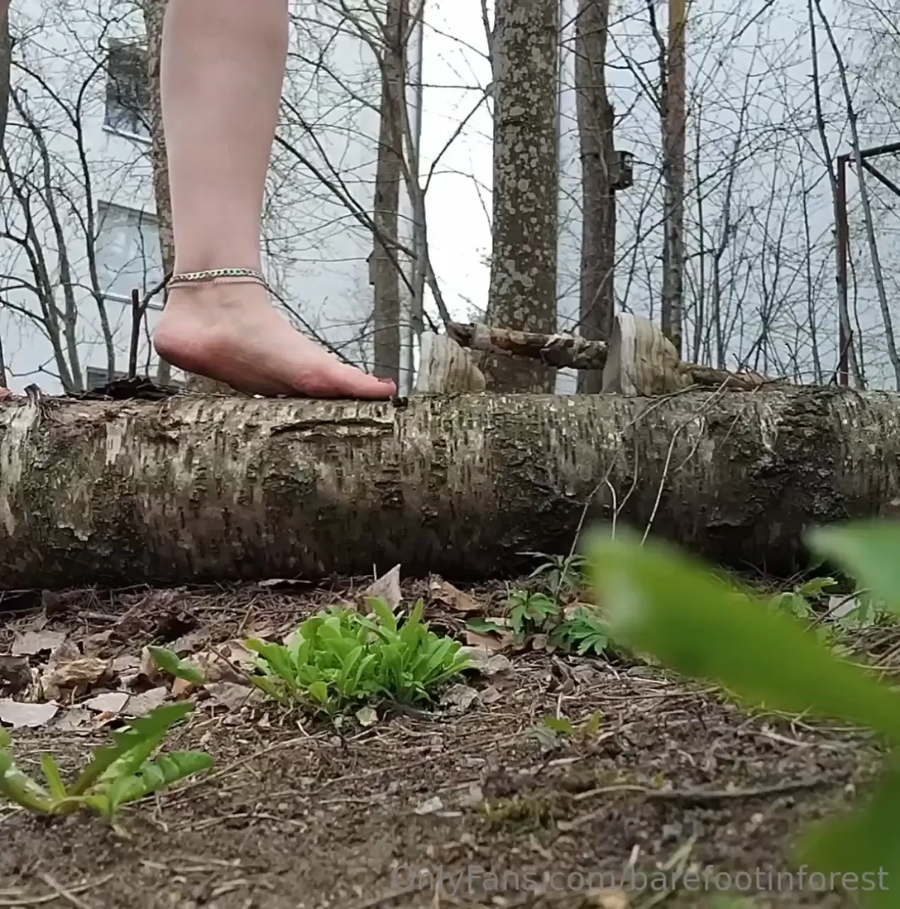 Balancing on a fallen tree part 1 
