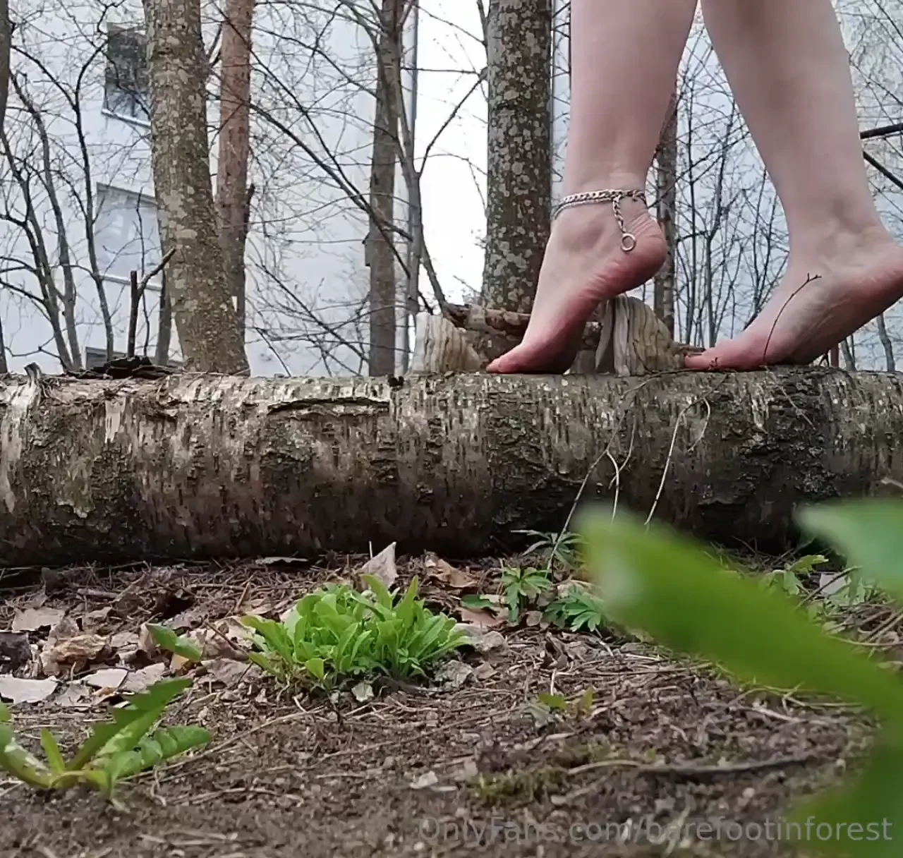 Balancing on a fallen tree part 2 