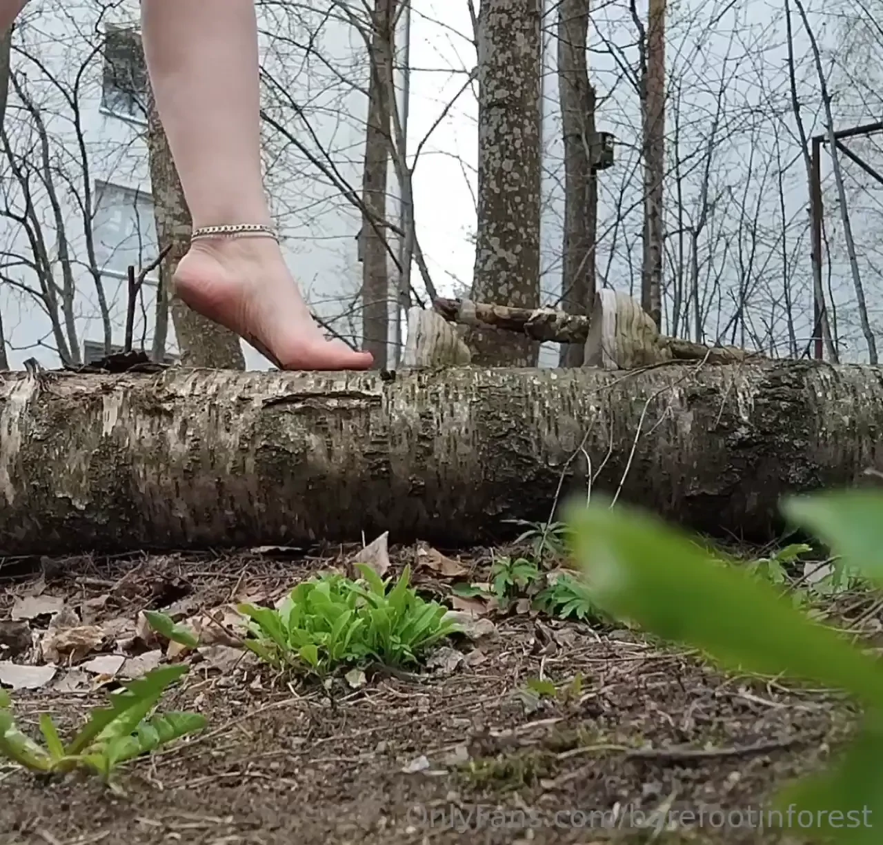 Balancing on a fallen tree part 3 