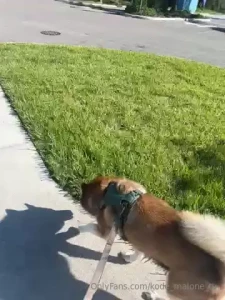 Beautiful day for a walk part 4