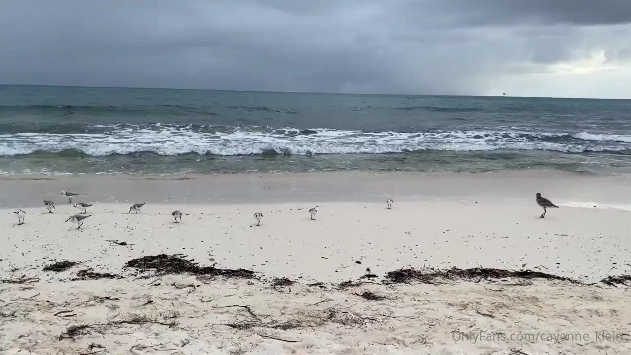 Just moments before the rain xxxxx 