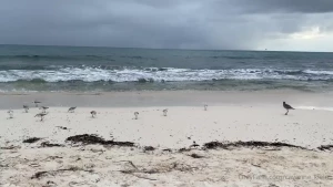 Just moments before the rain xxxxx