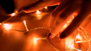 Buon sant ambrogio oggi come da tradizione milanese si mettono le part 2