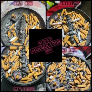 4 day accumulation sorry if this isn t your thing it s mine 164