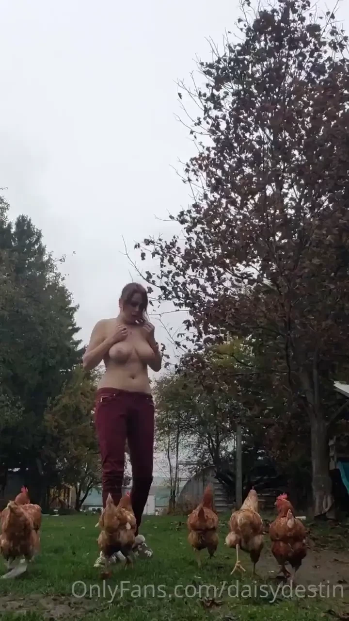 Chickens rush over and interrupt while i m topless in freezing weather 