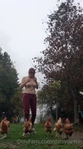 Chickens rush over and interrupt while i m topless in freezing weather