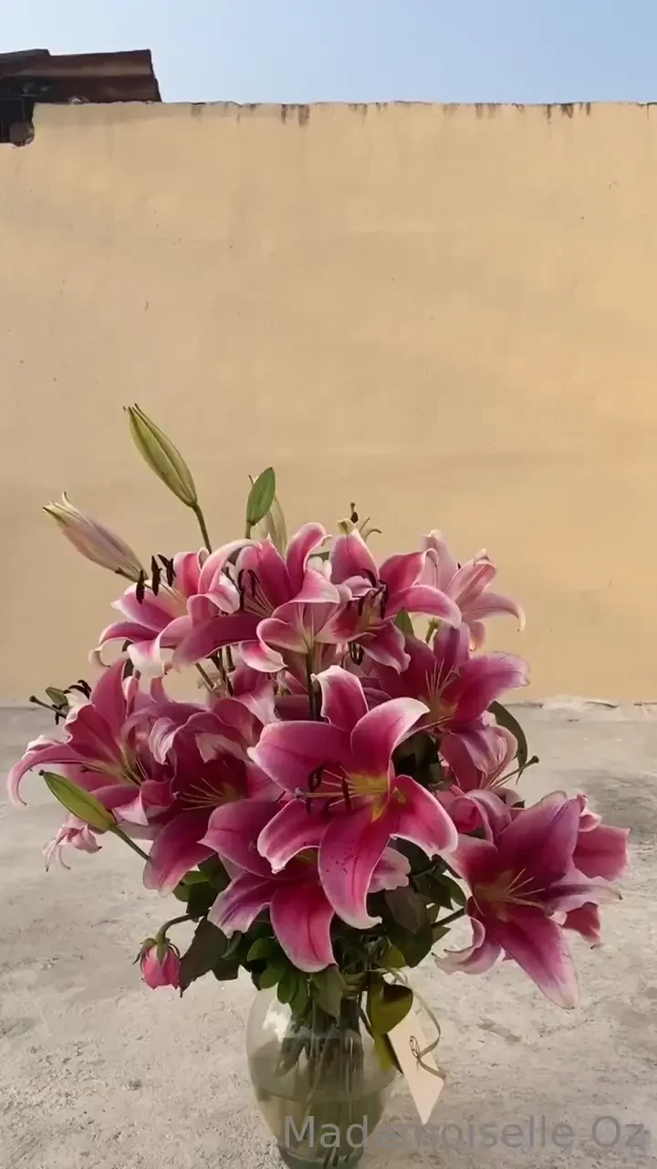 Thank you for the most beautiful gifts 