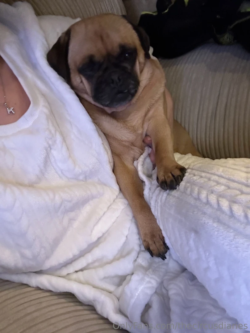 Chill morning before 2 shows later today what do you have planned this 