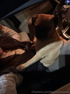 This makes driving rather difficult