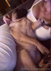 Late night puppy cuddles