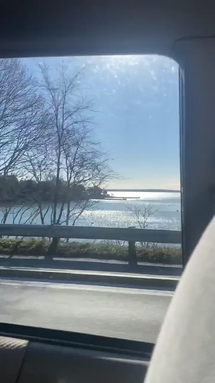 Just a little photo dump from the last week ish 