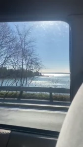 Just a little photo dump from the last week ish