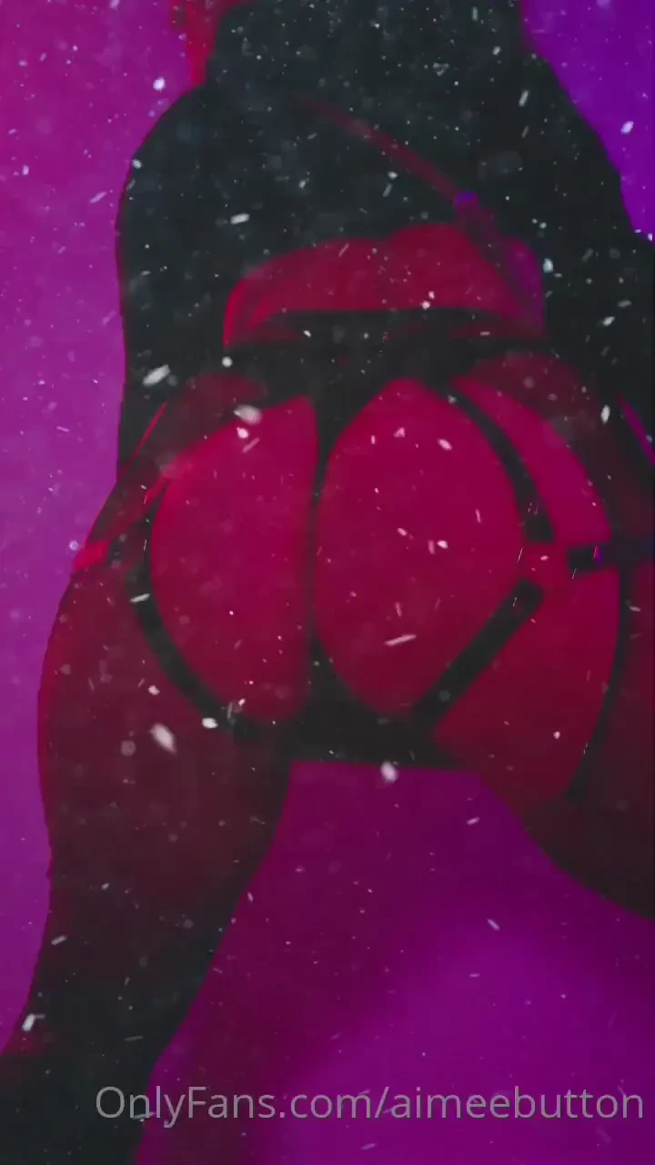 I live on the northernmost place with polar bears 