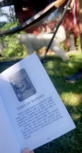 Todays tarot angel cards for saturday july 10 2021 the lovers the