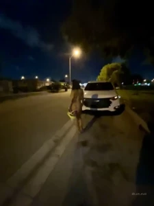 The neighbors must really love having someone like me around the