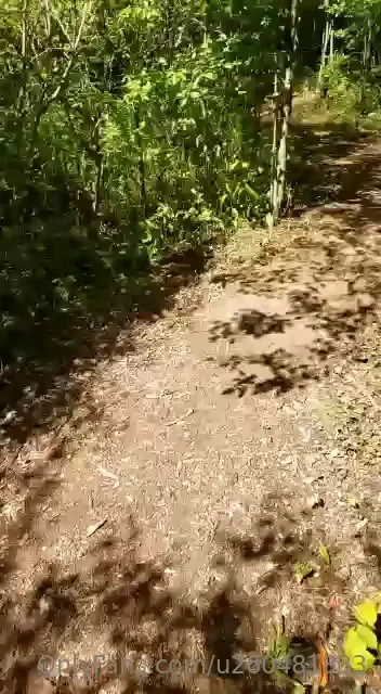 Rub a dub dub 2 men in a tub- in sex forest at cedars campground 