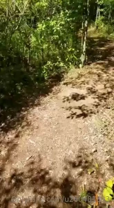 Rub a dub dub 2 men in a tub- in sex forest at cedars campground