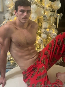 Merry christmas part 3578