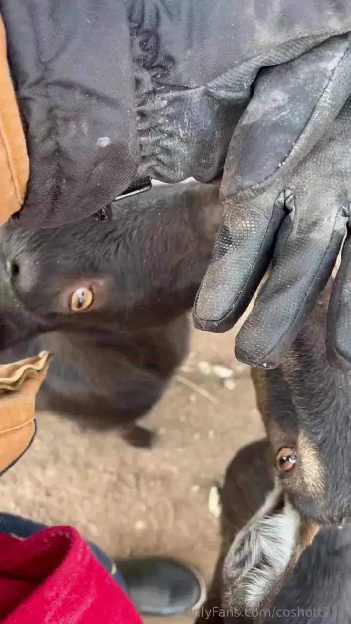 My girls are still doing good i m excited for when they are milking 