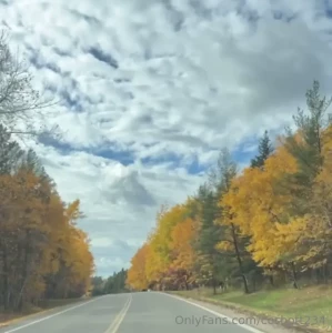 I m letting the boy goats mow my lawn for the last time this year i m