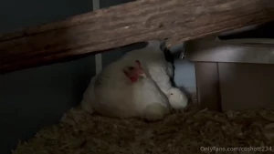 I think tuck is the cutest he slept like that when i did chores