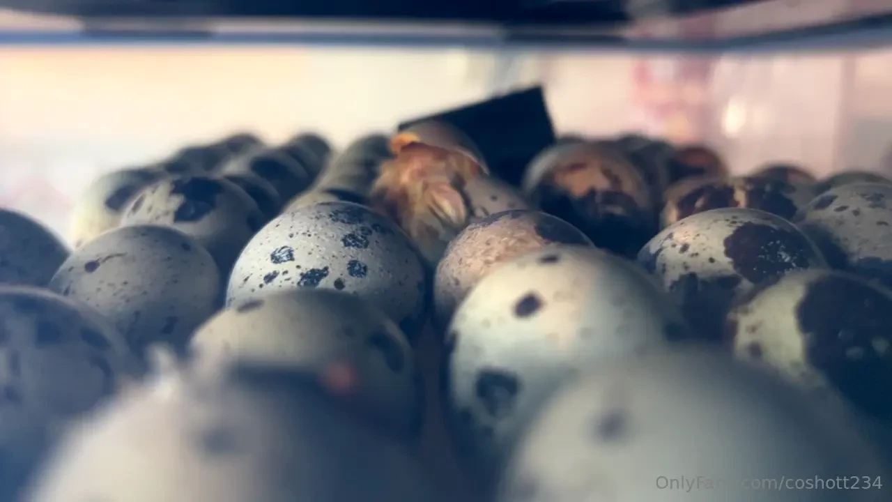 Today i went to a baby shower i got a prize the goal was to make the 