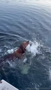 This is tuck swimming this was my second time taking him swimming he