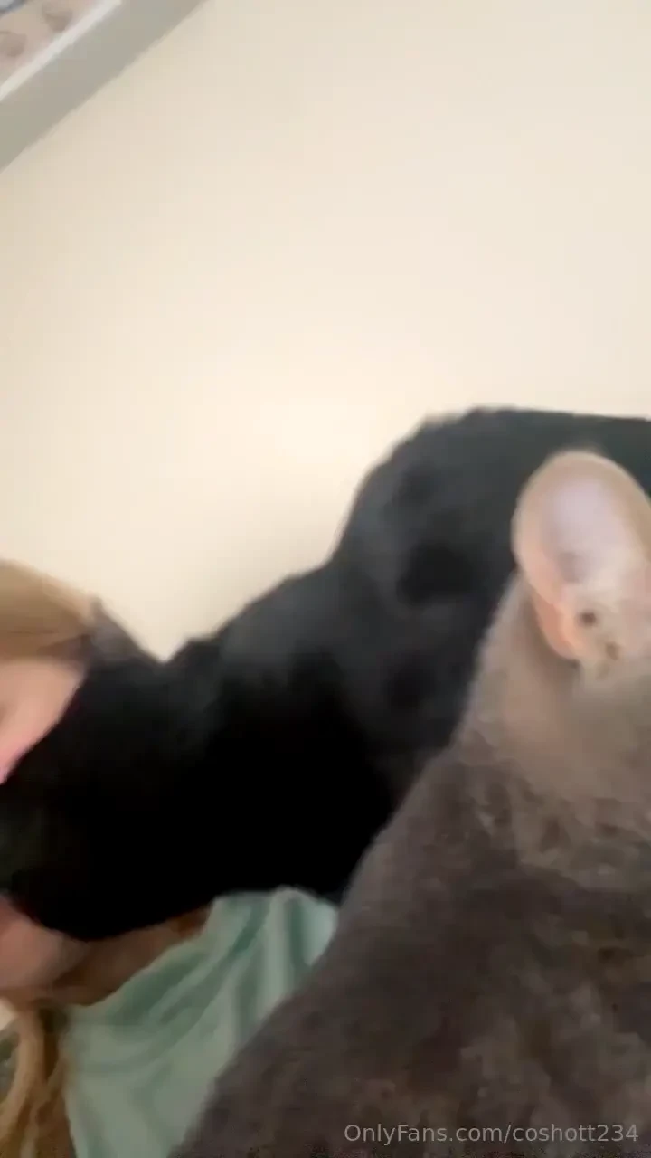 I love having kitty friends do you have any 