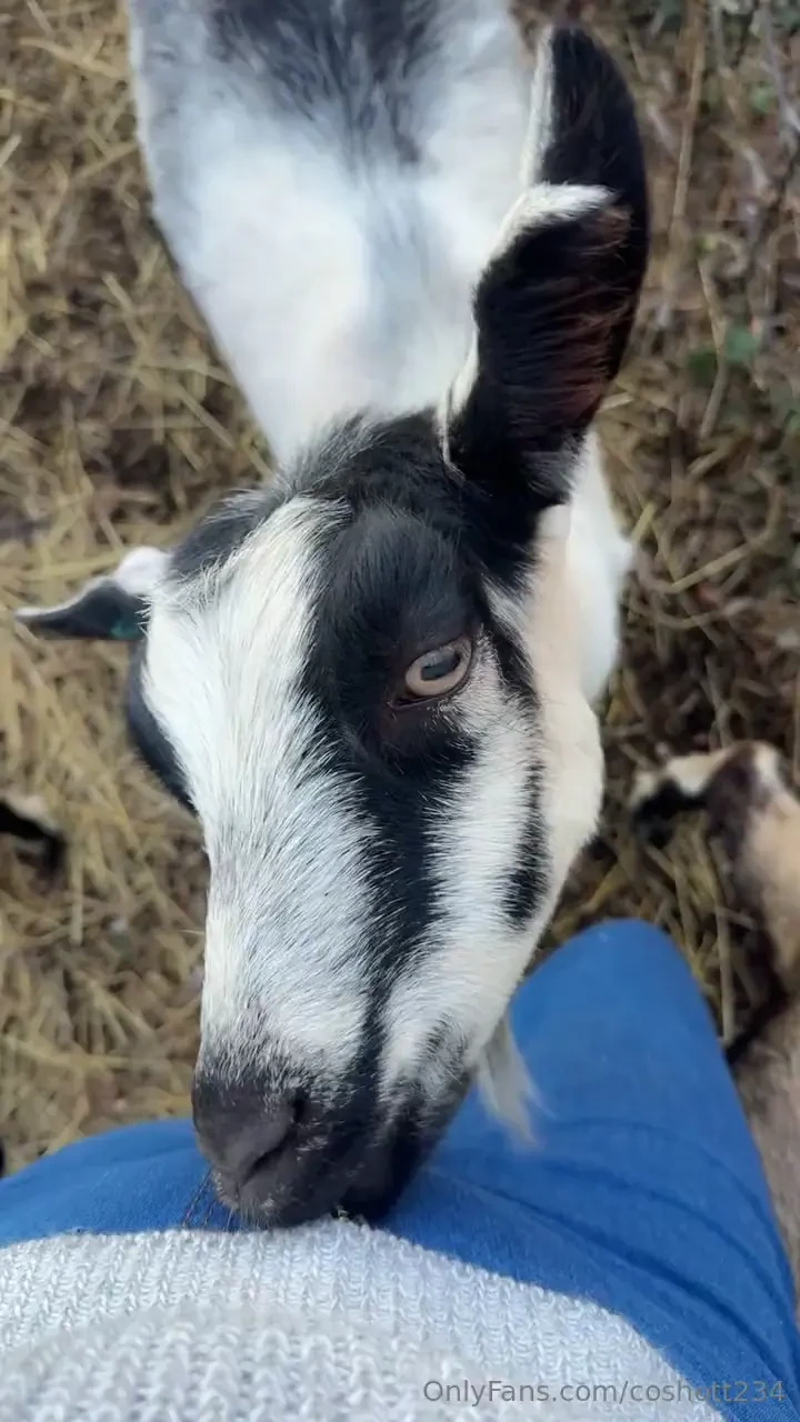She always loves to nibble 