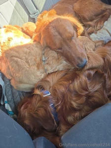 I had such a blast yesterday we did a 6-hour round trip to get tuck part 3