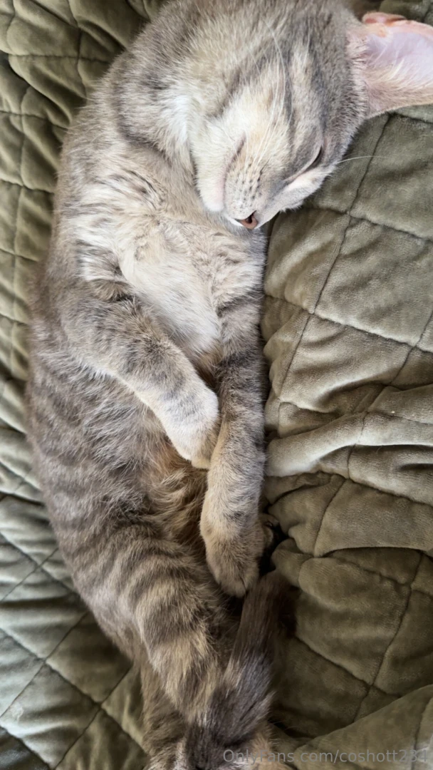 Silver sleeps like she s never had a single worry in her life 