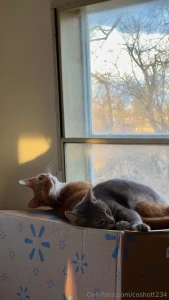 Little moments like this are my favorite slow mornings warm sunshine