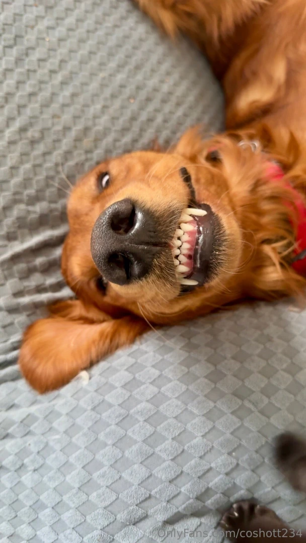 Tuck said good morning in his own special way today i can t even 