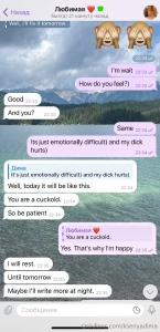 A continuation of our correspondence with my husband the night i went part 9