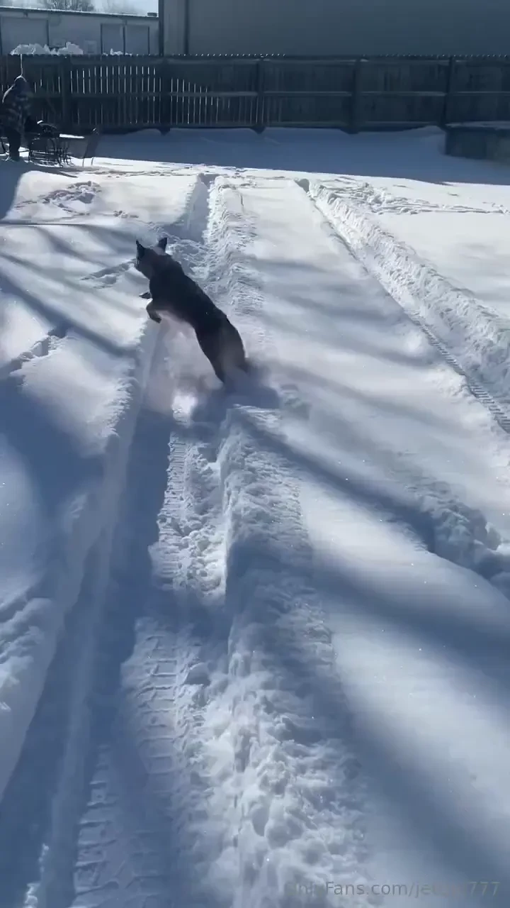 Lucky in kansas enjoying the snow with my family 