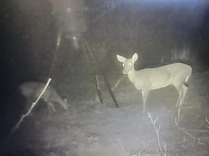 I sure wish these fuckers would start coming out in the daylight
