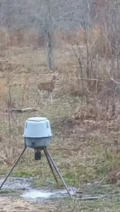 Saw a 8 point and a 6 point just a couple years too you ng for me to