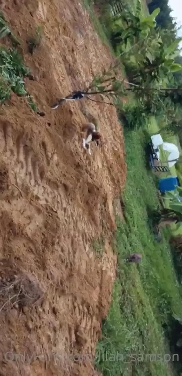 Finally finished my homemade 2 barrel septic system for the shop part 1 