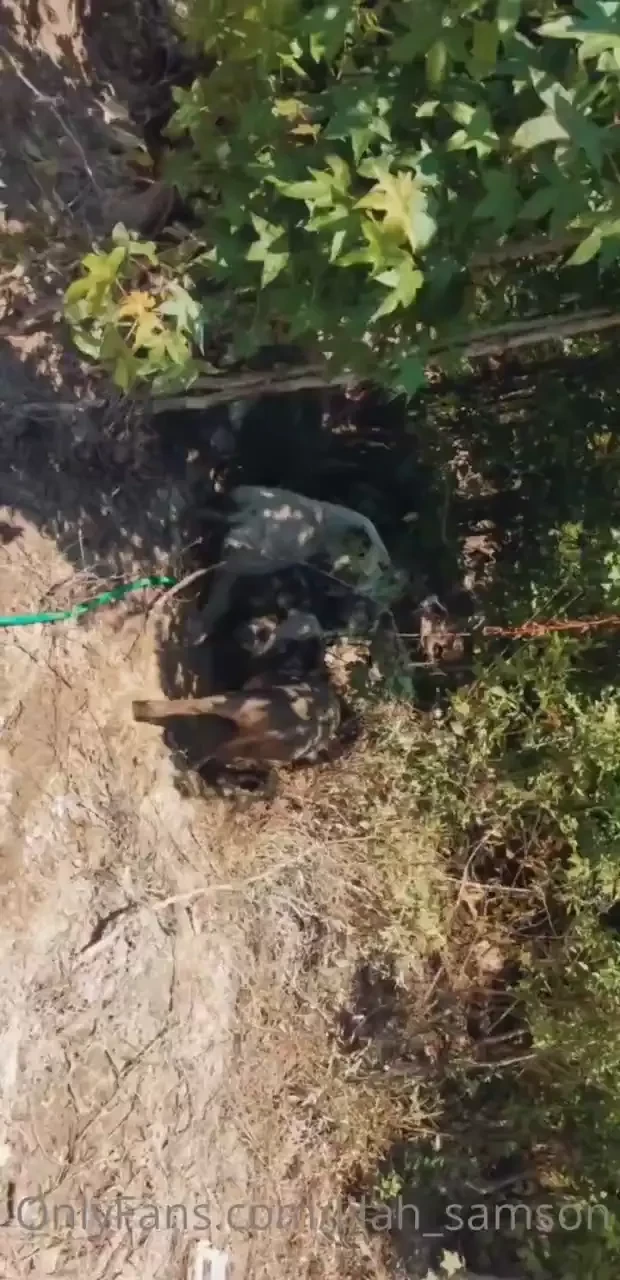 Farm girl life part 2 