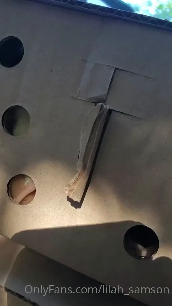 Another 100 meat birds on the farm freezers gonna be slam full come 