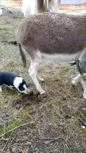 Throw back to when i first bought my land and started doing work the