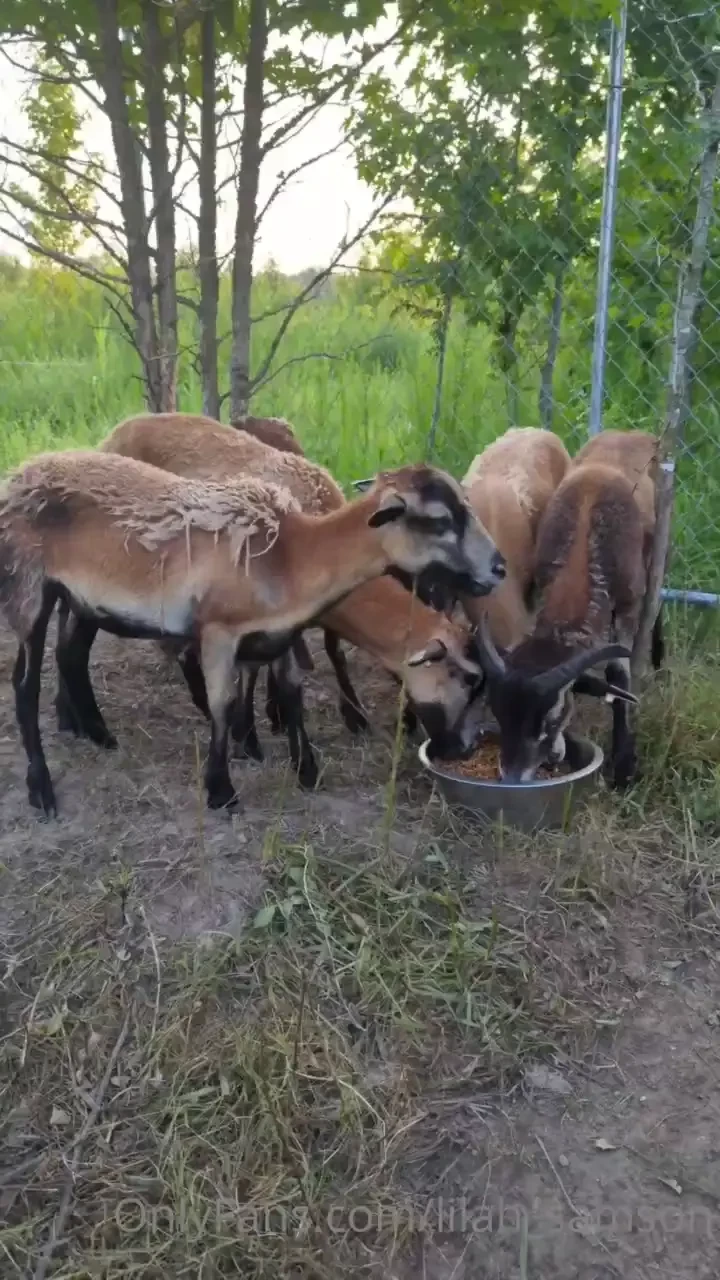 I hope ya ll have a happy sand safe 4th of july 4 days in and i part 1 