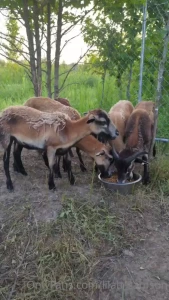 I hope ya ll have a happy sand safe 4th of july 4 days in and i part 1